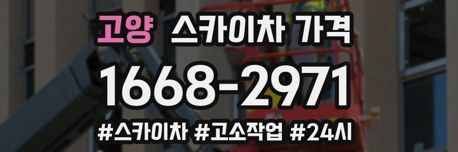 고양 스카이차 가격