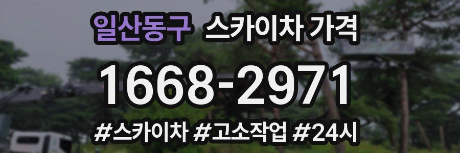 일산동구 스카이차 가격