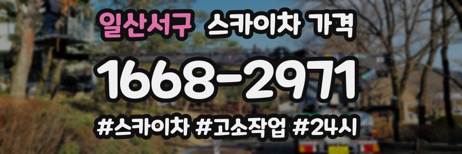 일산서구 스카이차 가격