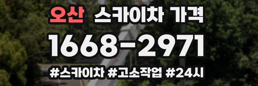 오산 스카이차 가격