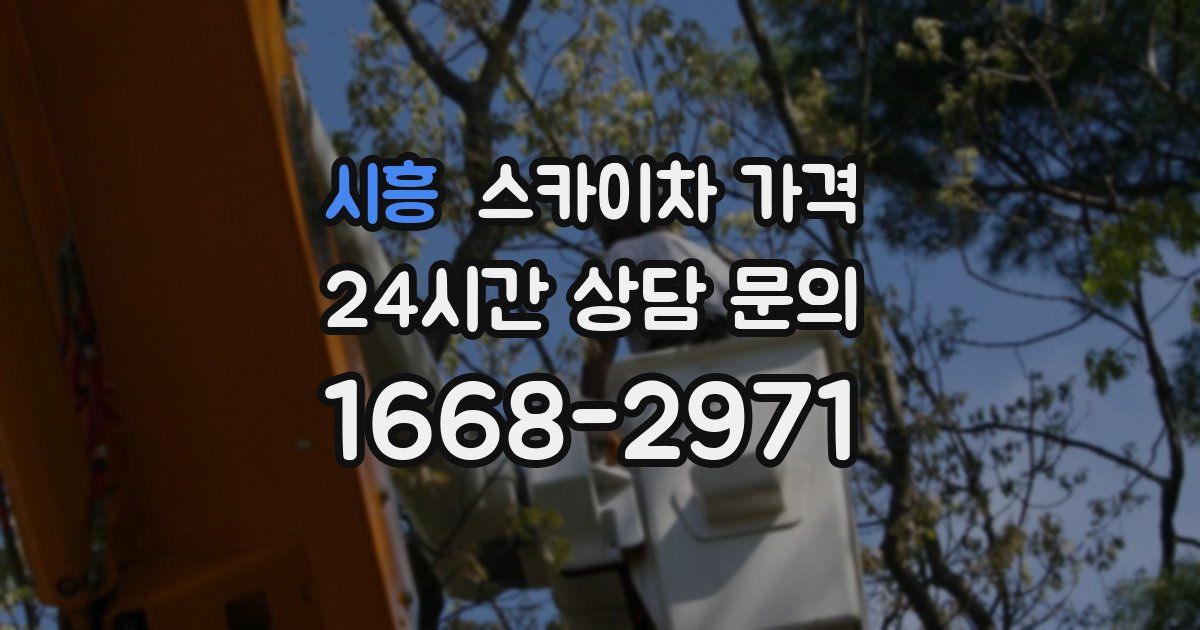 시흥 스카이차 가격