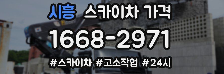 시흥 스카이차 가격