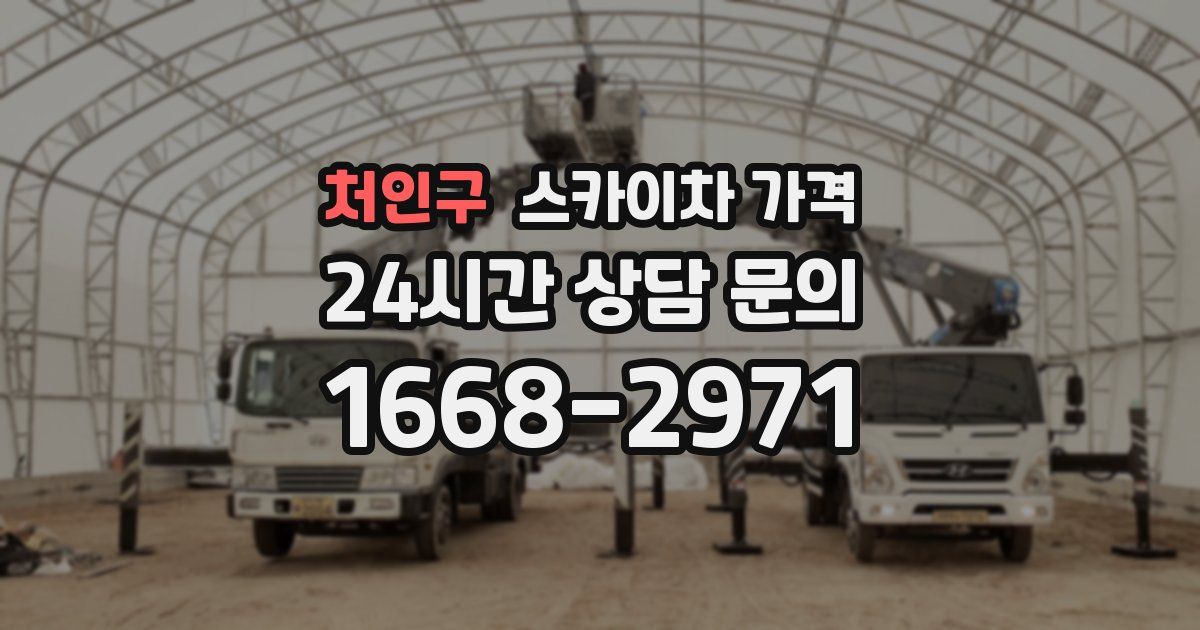 처인구 스카이차 가격