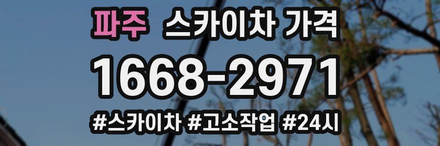 파주 스카이차 가격