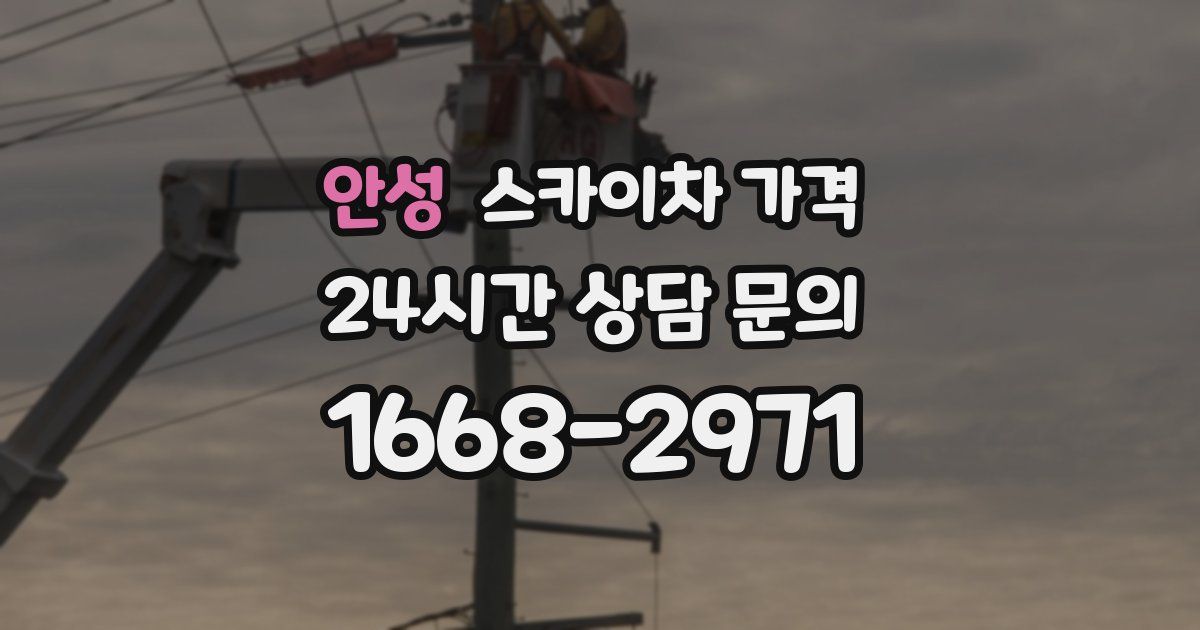 안성 스카이차 가격