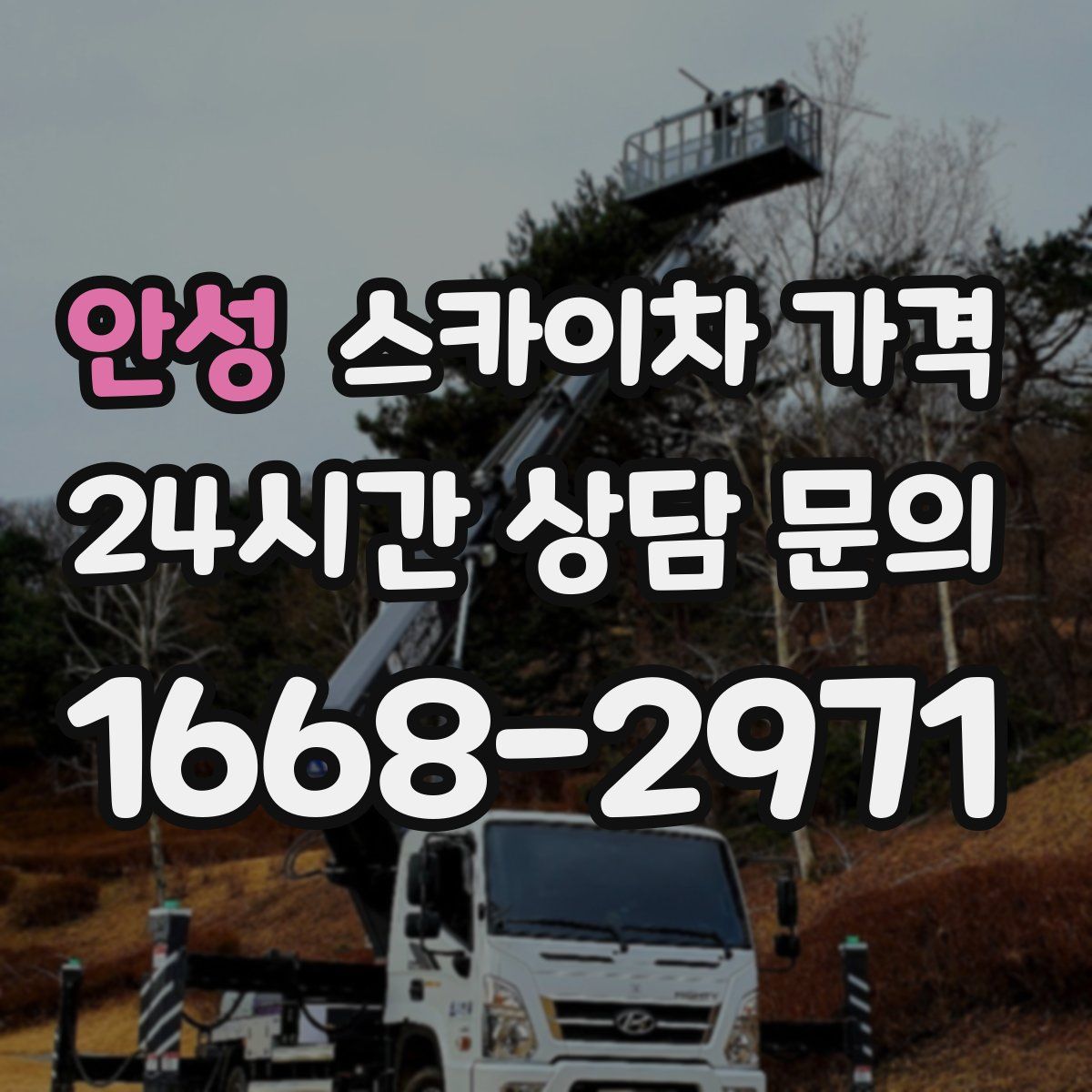 안성 스카이차 가격