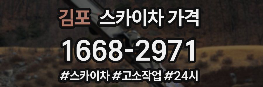 김포 스카이차 가격