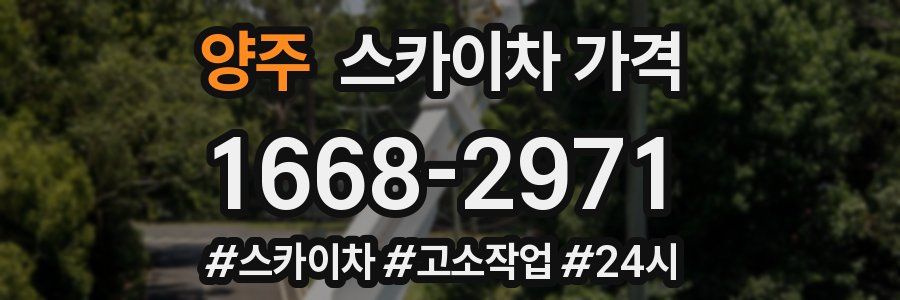 양주 스카이차 가격