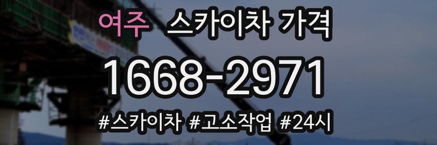 여주 스카이차 가격