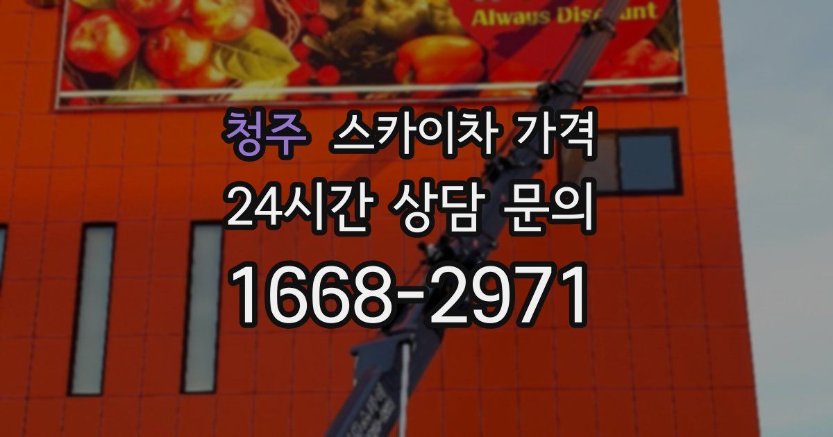 청주 스카이차 가격