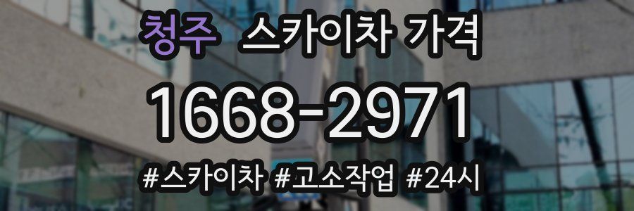 청주 스카이차 가격