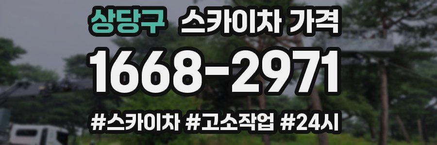 상당구 스카이차 가격