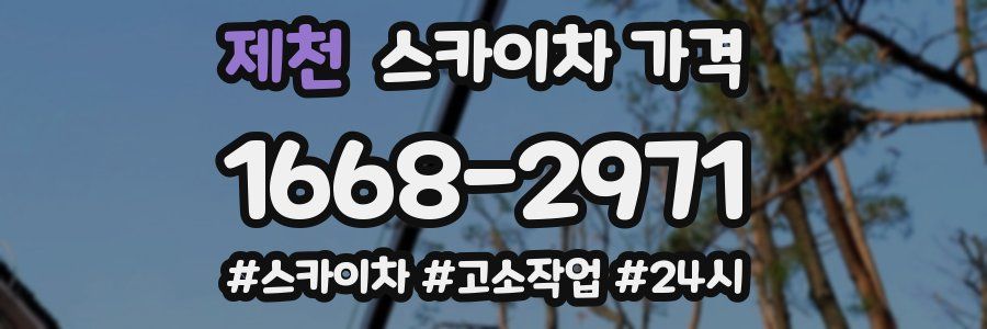 제천 스카이차 가격