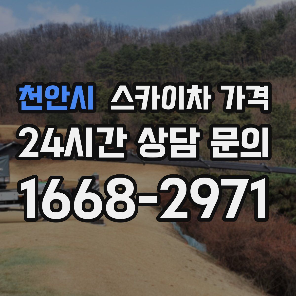 천안시 스카이차 가격