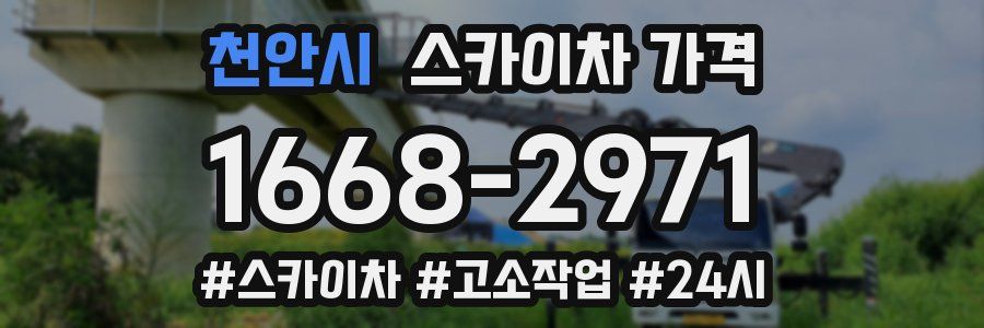 천안시 스카이차 가격