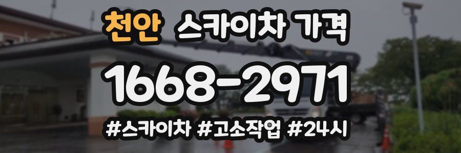 천안 스카이차 가격