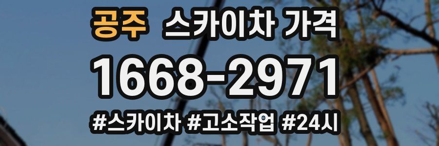 공주 스카이차 가격
