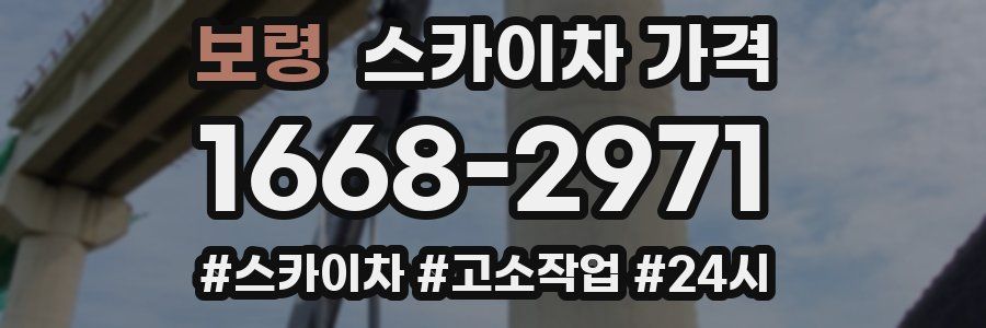 보령 스카이차 가격