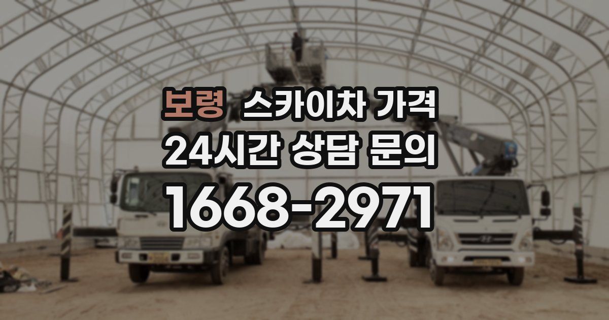 보령 스카이차 가격