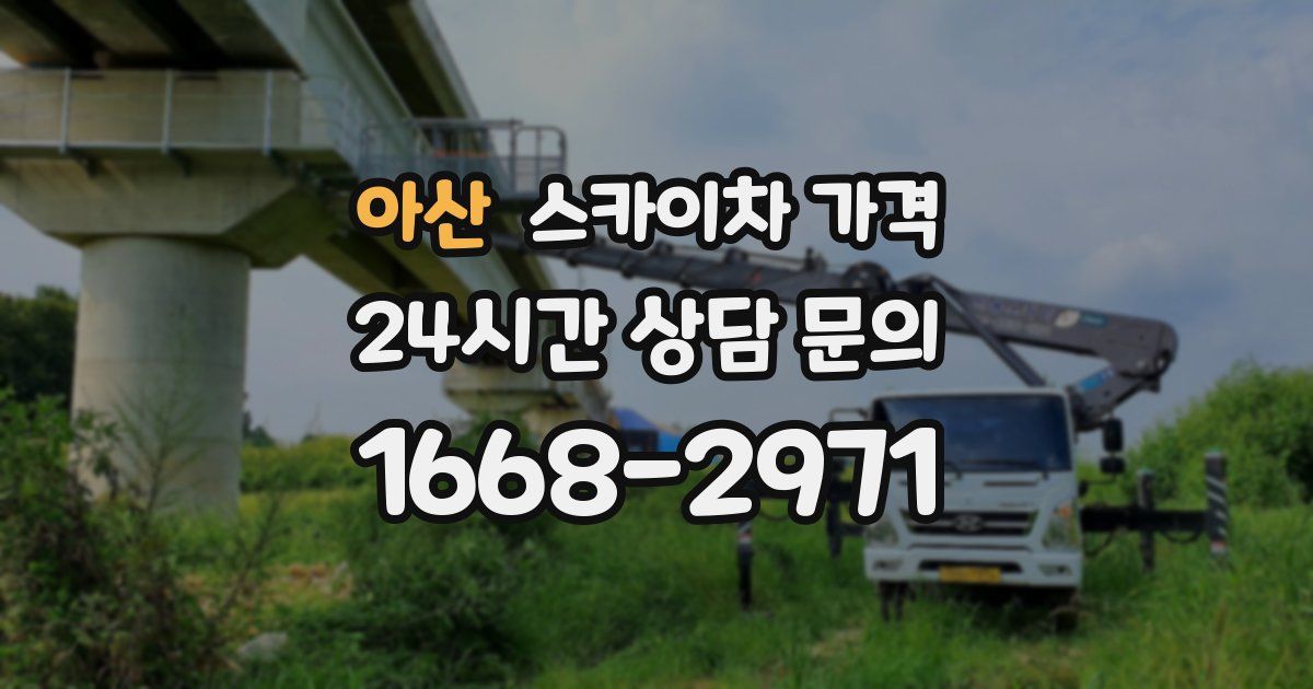 아산 스카이차 가격