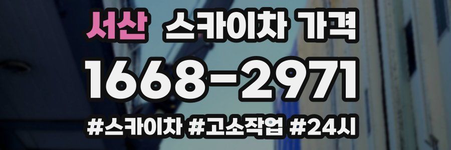 서산 스카이차 가격