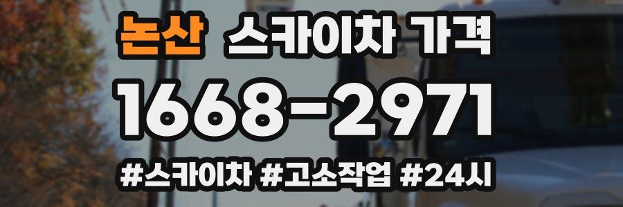 논산 스카이차 가격