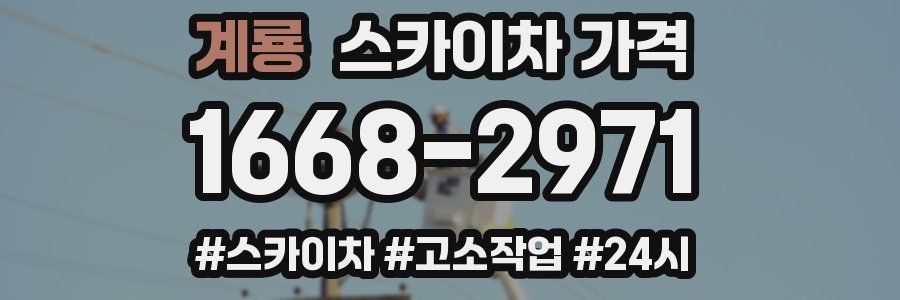 계룡 스카이차 가격