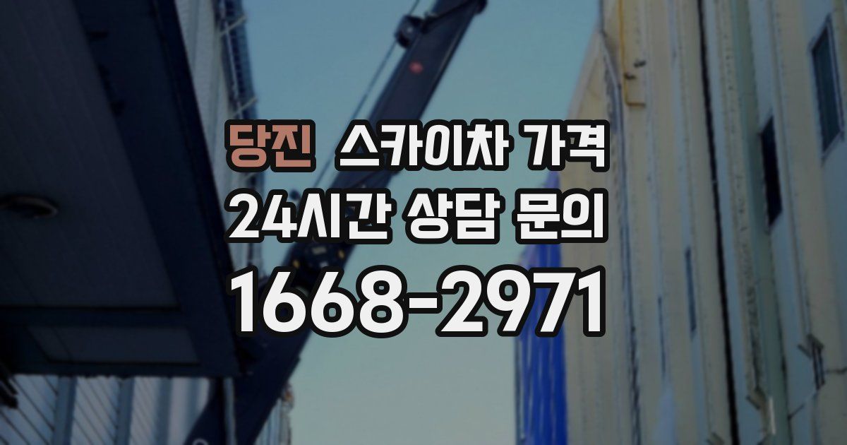 당진 스카이차 가격