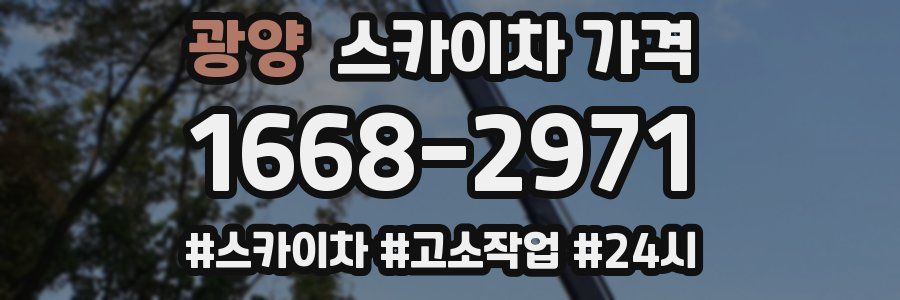 광양 스카이차 가격