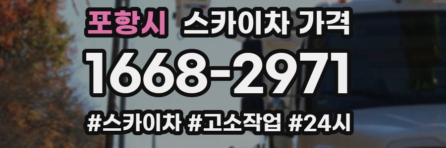 포항시 스카이차 가격