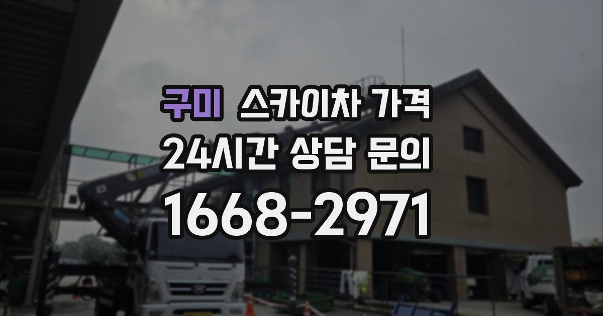 구미 스카이차 가격