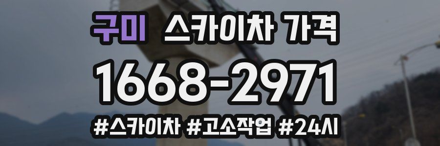 구미 스카이차 가격