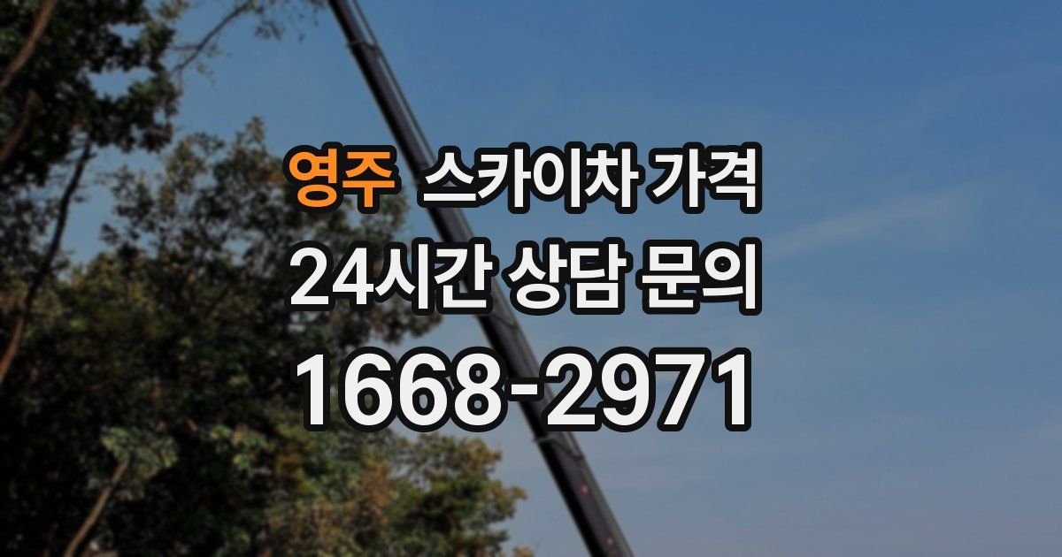 영주 스카이차 가격