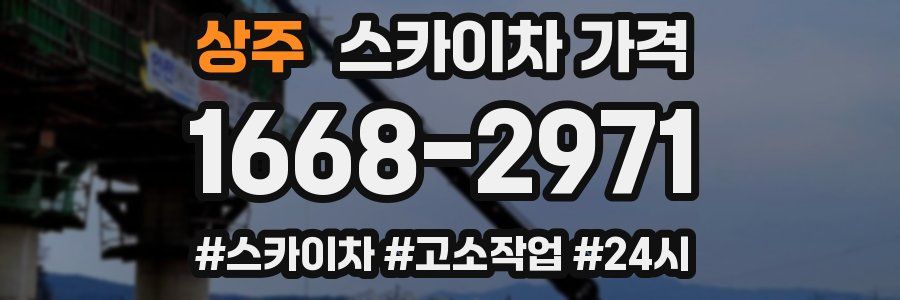 상주 스카이차 가격