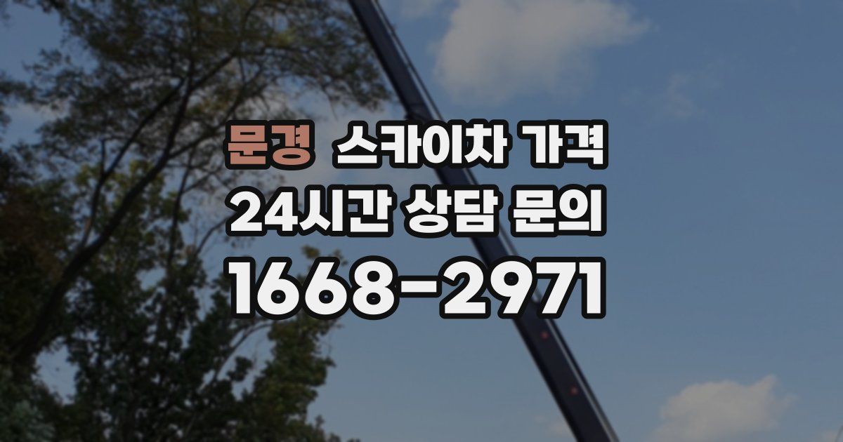 문경 스카이차 가격