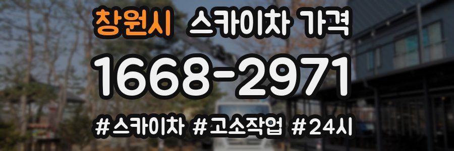 창원시 스카이차 가격