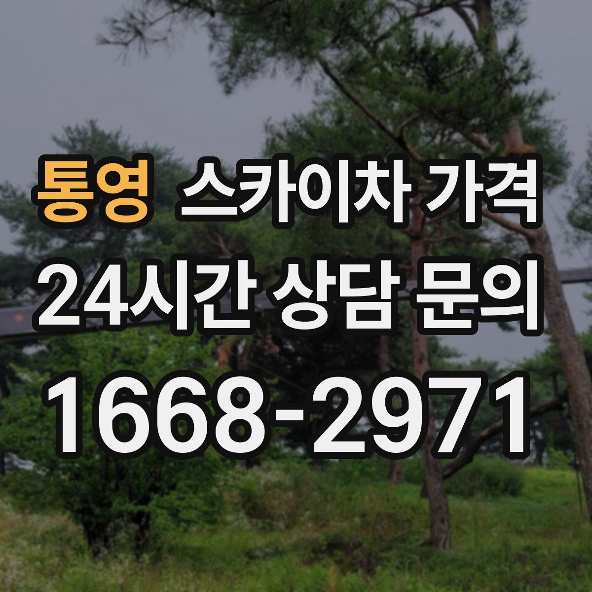 통영 스카이차 가격