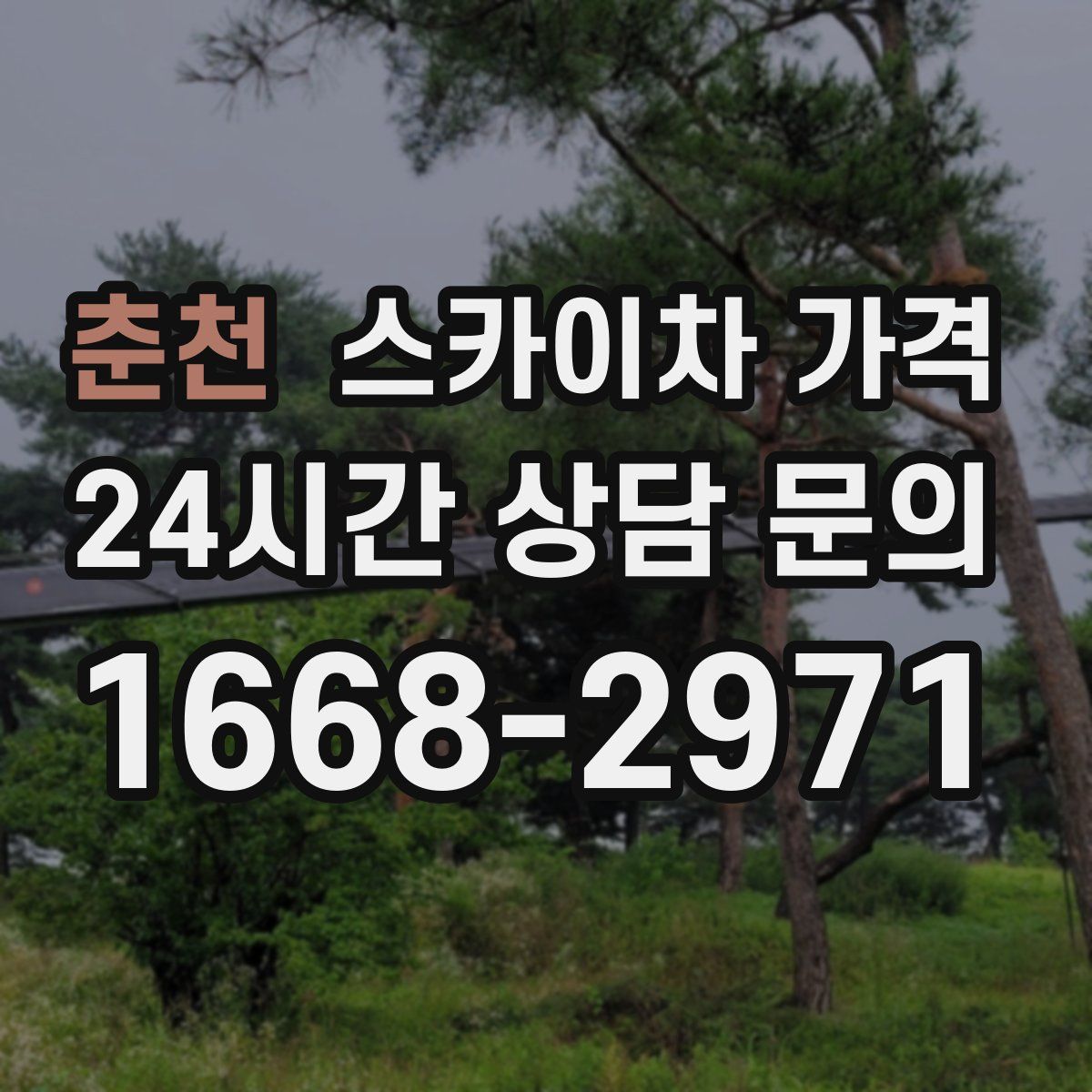 춘천 스카이차 가격