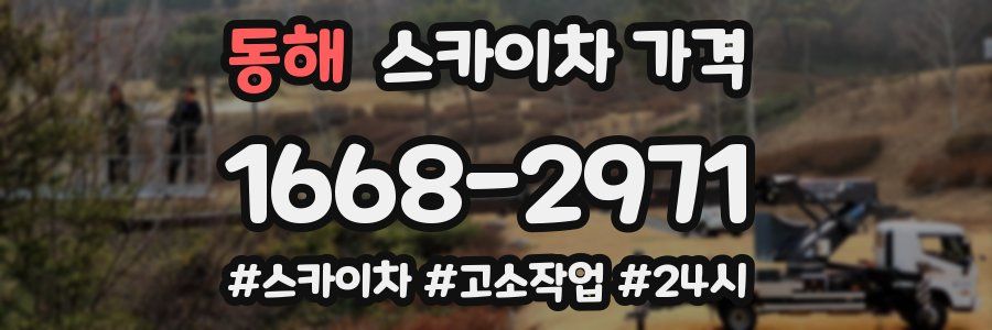 동해 스카이차 가격