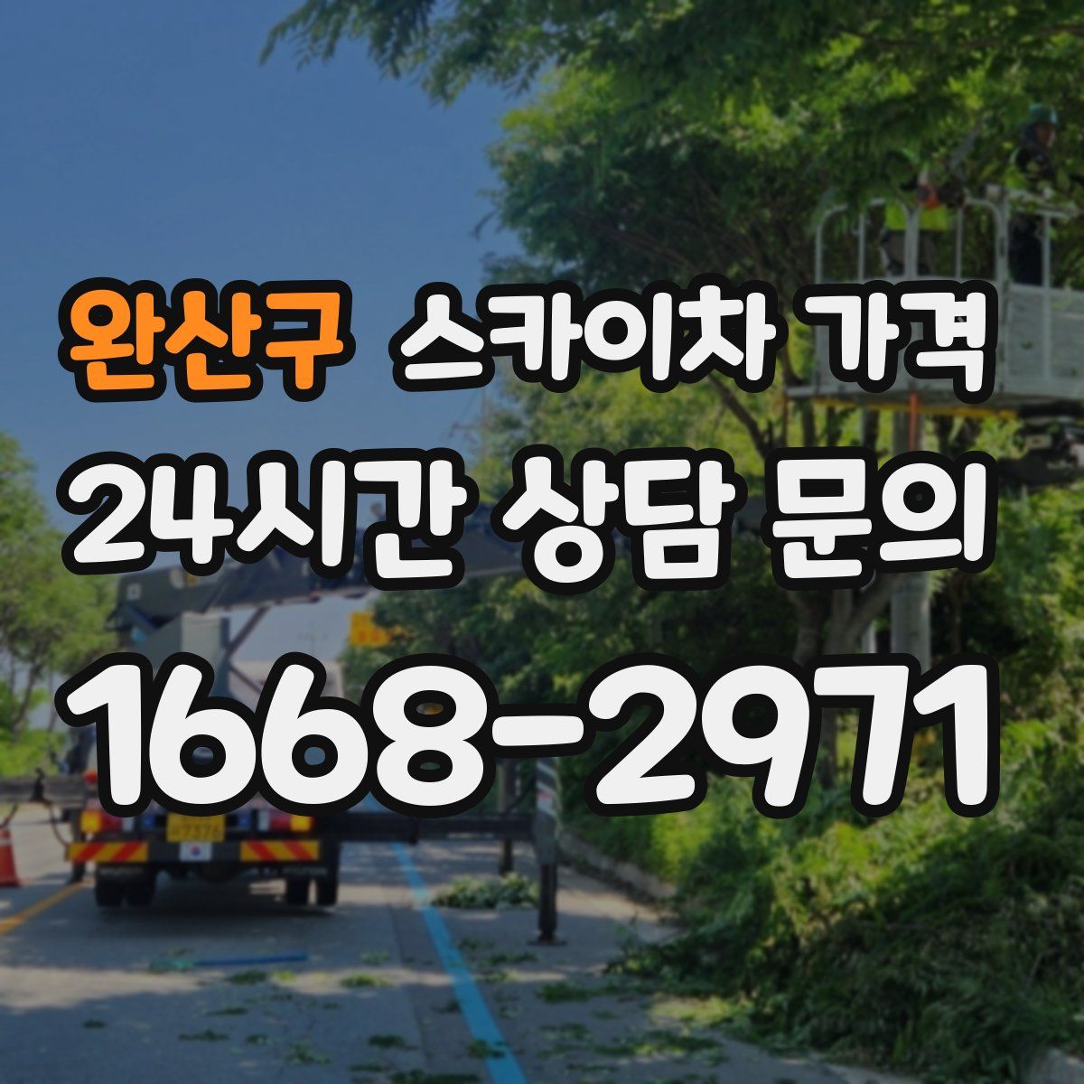 완산구 스카이차 가격