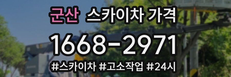 군산 스카이차 가격