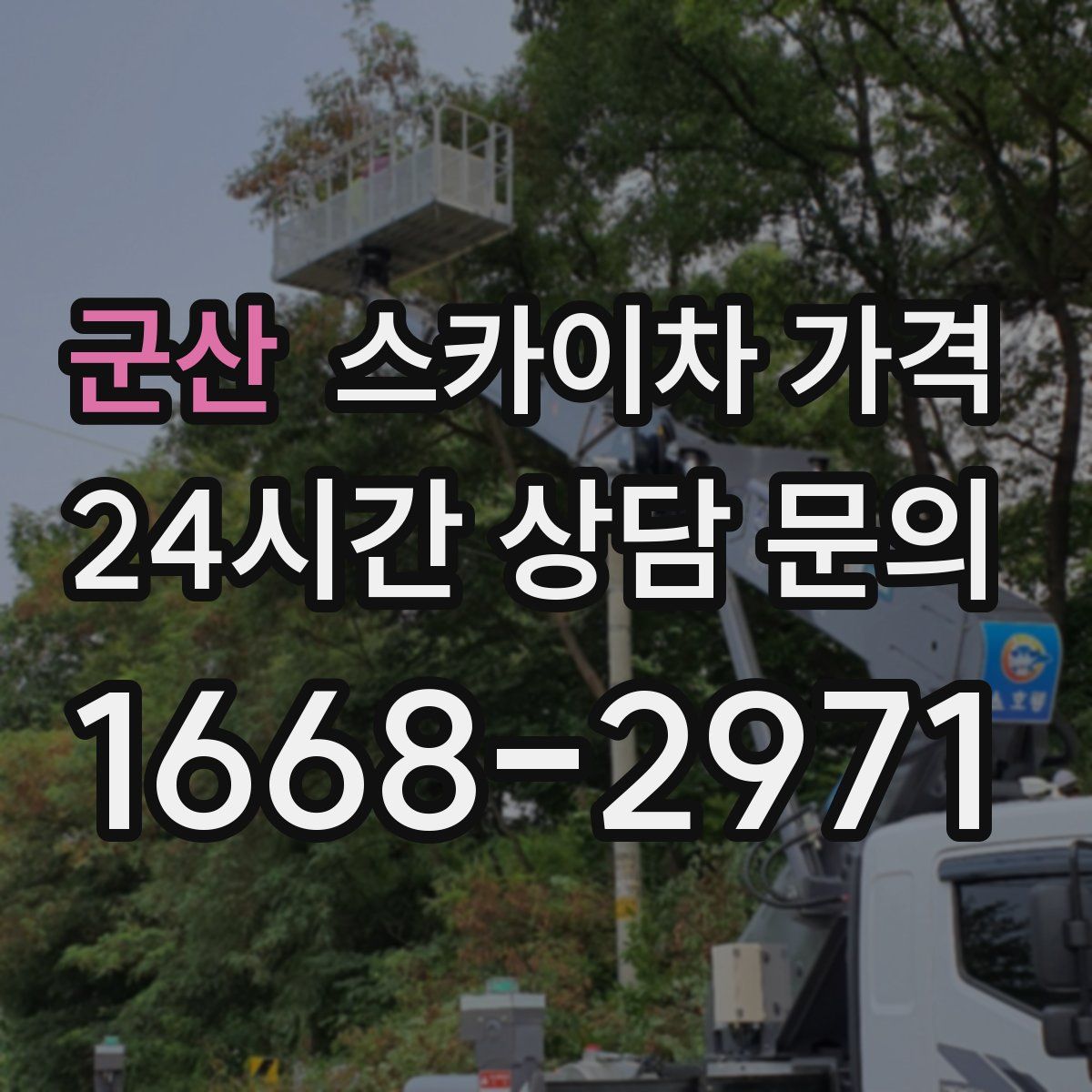 군산 스카이차 가격
