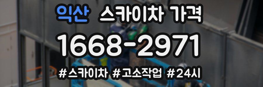 익산 스카이차 가격