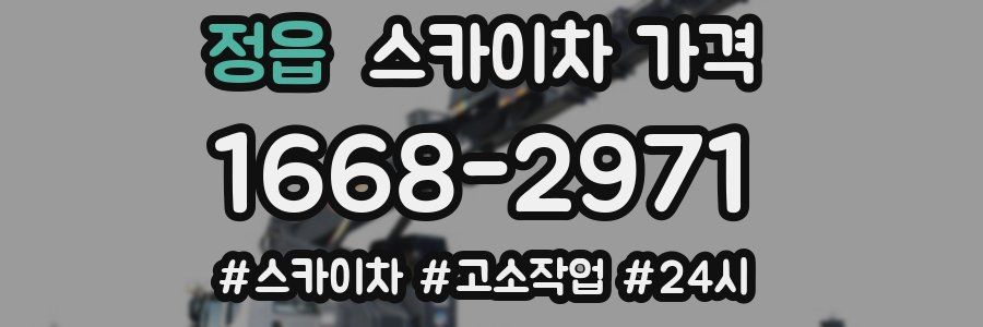 정읍 스카이차 가격