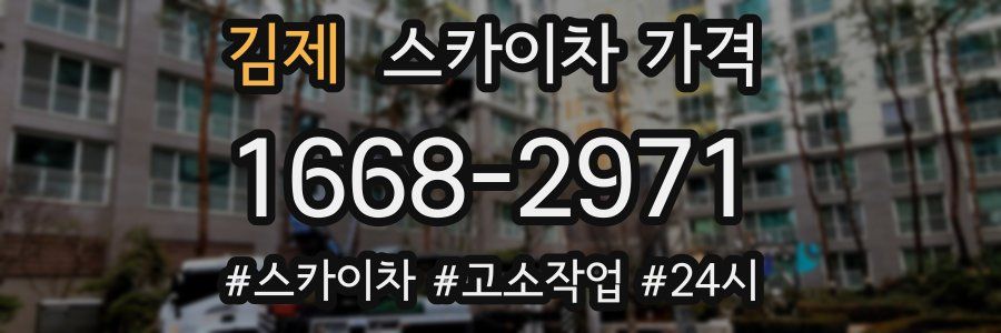 김제 스카이차 가격