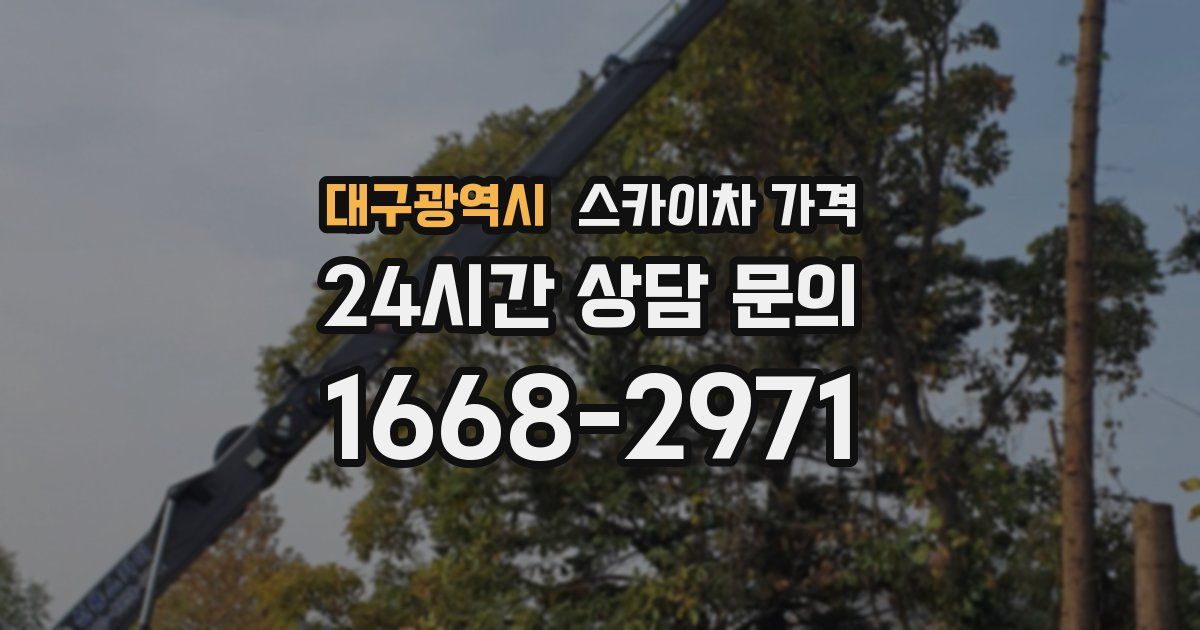 대구광역시 스카이차 가격