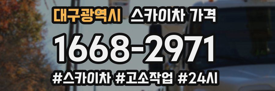 대구광역시 스카이차 가격
