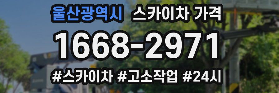울산광역시 스카이차 가격