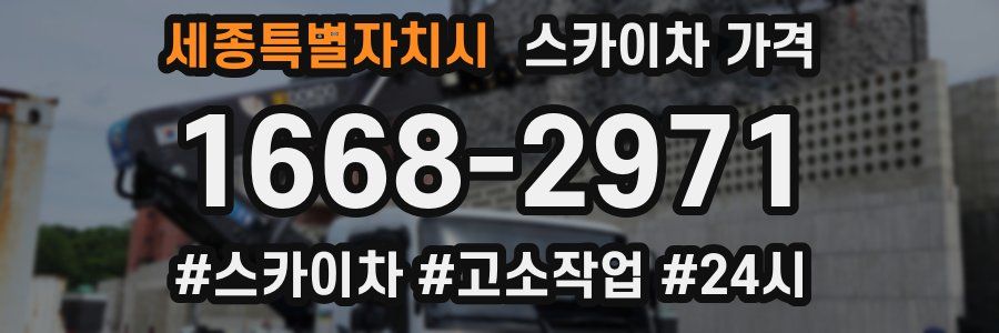 세종특별자치시 스카이차 가격