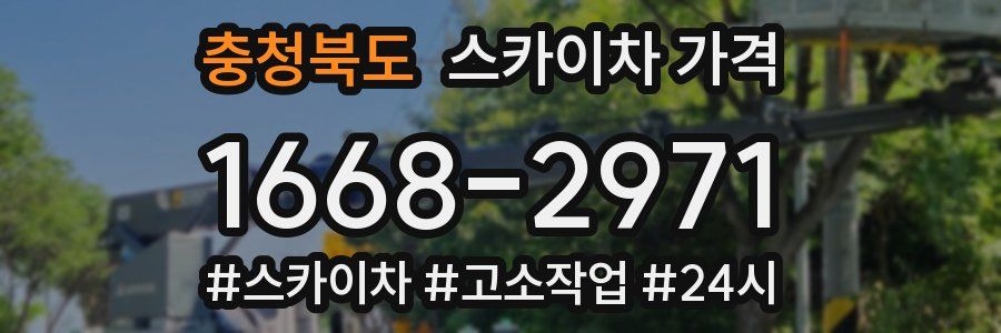 충청북도 스카이차 가격